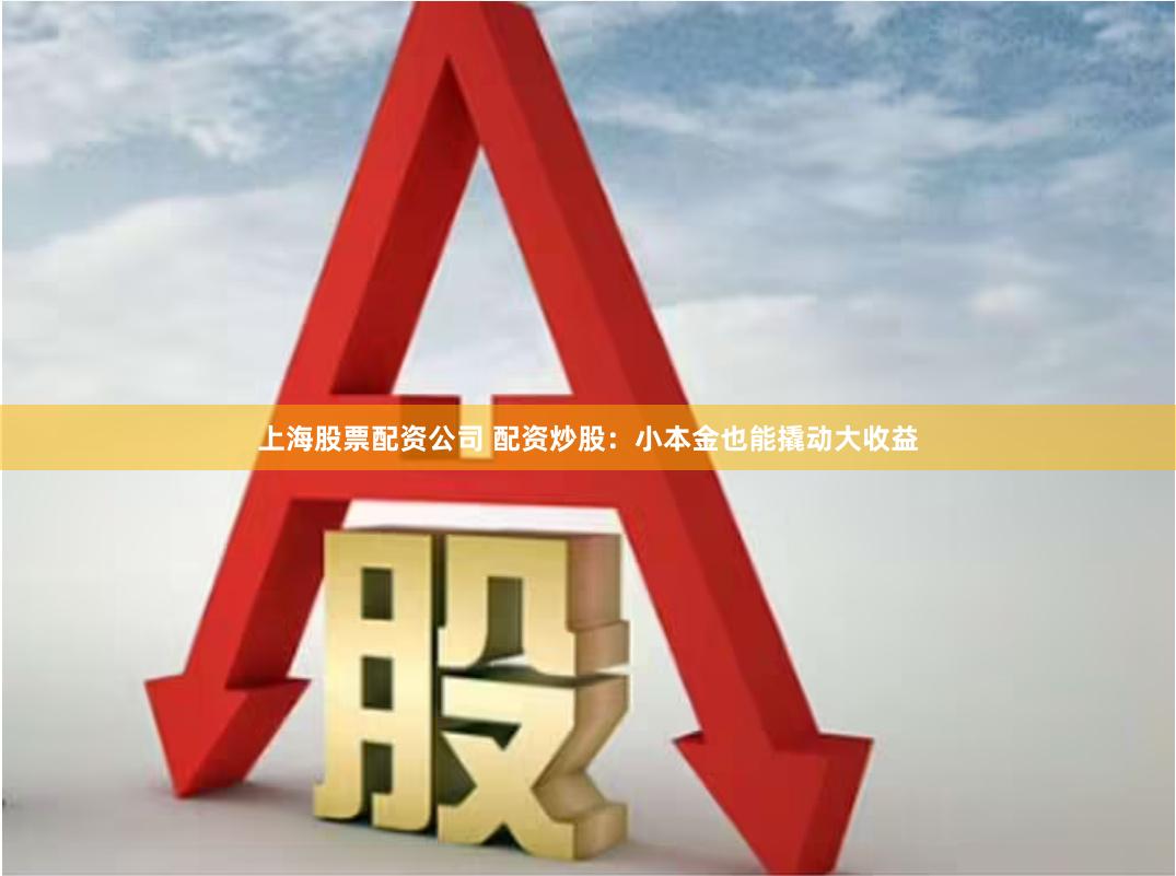 上海股票配资公司 配资炒股：小本金也能撬动大收益