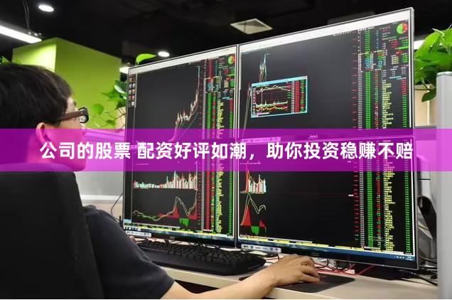 公司的股票 配资好评如潮，助你投资稳赚不赔